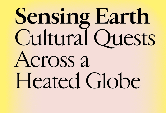 Publikacija: Sensing Earth